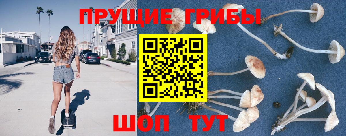 Псилоцибиновые грибы MAGIC MUSHROOMS  Галлюциногенные грибы Magic Shrooms  Кимры  Вход с VPN 